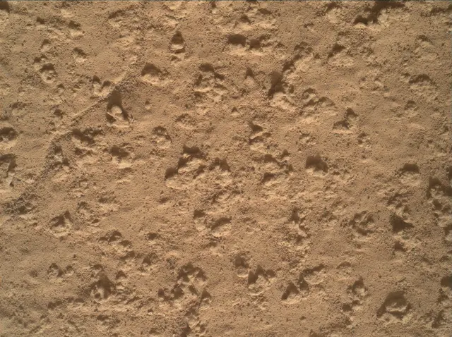 Sol 3575: Mars Hand Lens Imager (MAHLI)