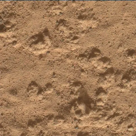 Sol 3575: Mars Hand Lens Imager (MAHLI)