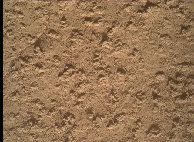 Sol 3575: Mars Hand Lens Imager (MAHLI)