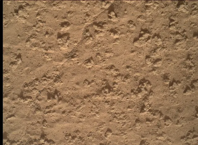 Sol 3575: Mars Hand Lens Imager (MAHLI)