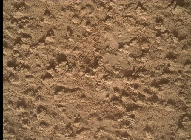 Sol 3575: Mars Hand Lens Imager (MAHLI)