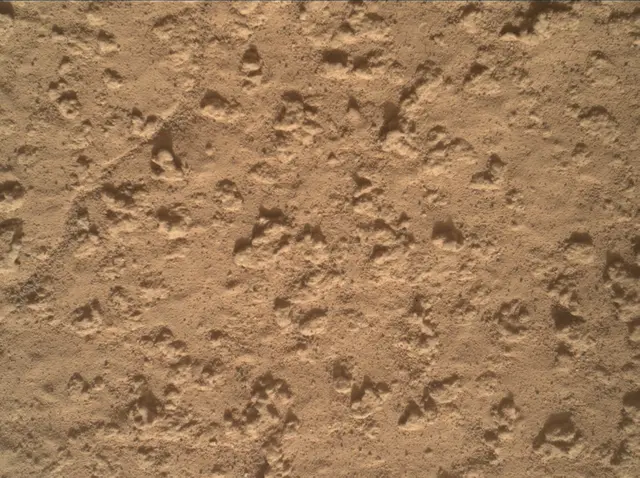Sol 3575: Mars Hand Lens Imager (MAHLI)