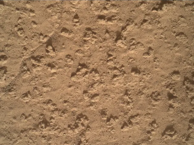 Sol 3575: Mars Hand Lens Imager (MAHLI)