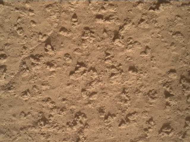 Sol 3575: Mars Hand Lens Imager (MAHLI)