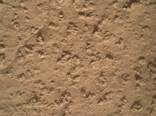 Sol 3575: Mars Hand Lens Imager (MAHLI)