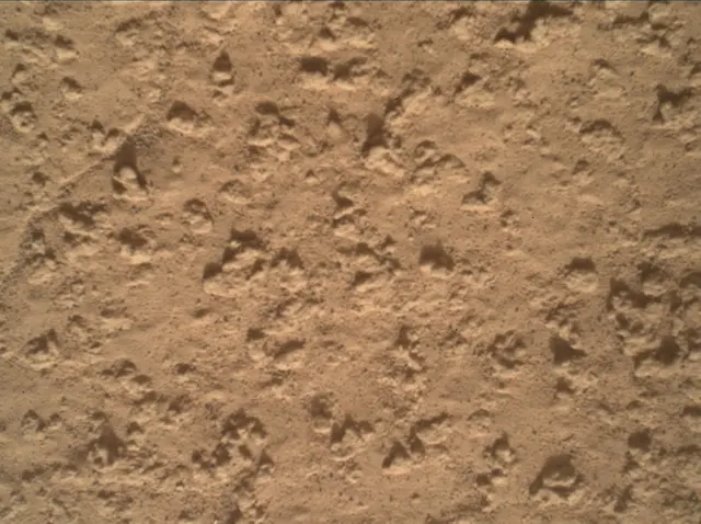 Sol 3575: Mars Hand Lens Imager (MAHLI)