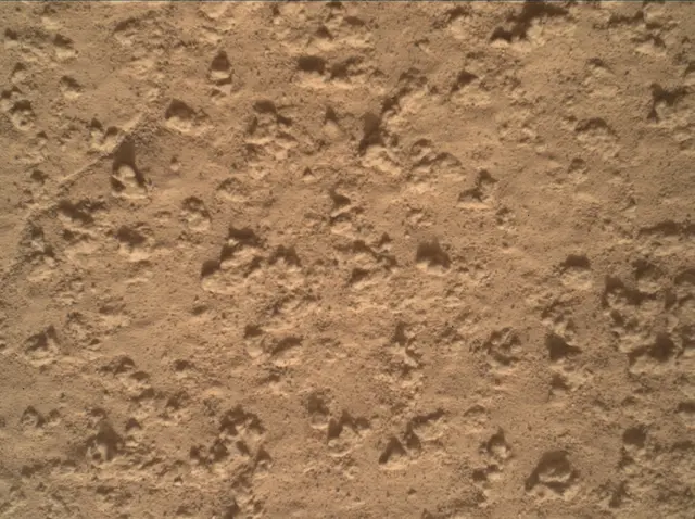 Sol 3575: Mars Hand Lens Imager (MAHLI)