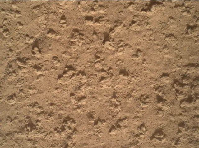 Sol 3575: Mars Hand Lens Imager (MAHLI)