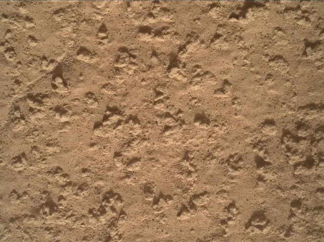 Sol 3575: Mars Hand Lens Imager (MAHLI)