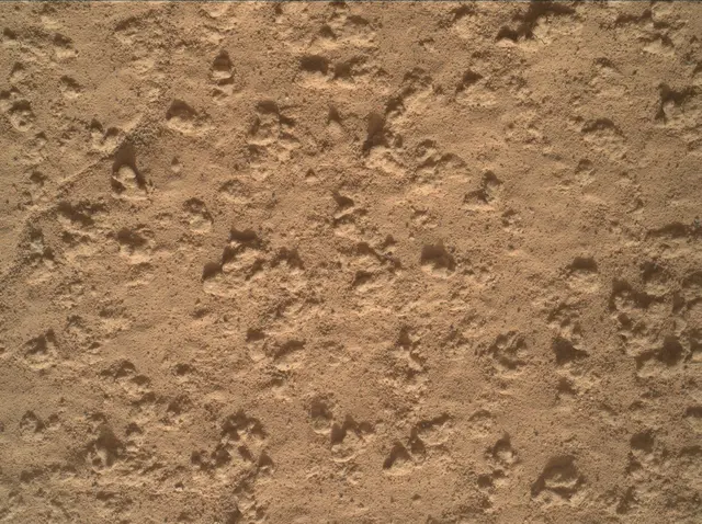 Sol 3575: Mars Hand Lens Imager (MAHLI)