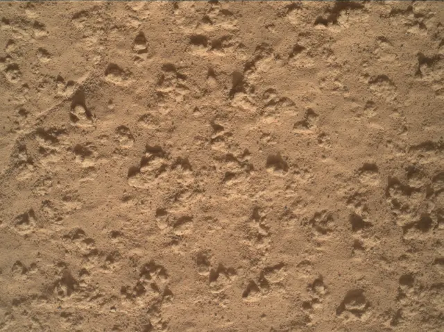 Sol 3575: Mars Hand Lens Imager (MAHLI)