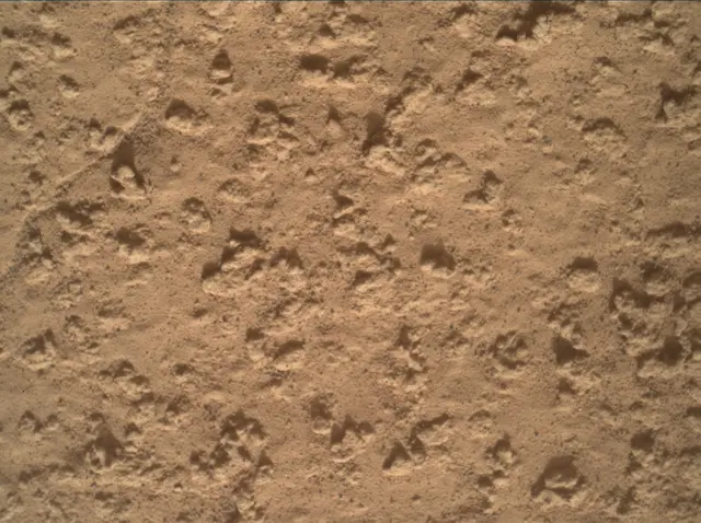 Sol 3575: Mars Hand Lens Imager (MAHLI)