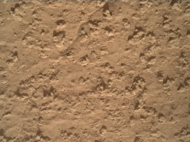 Sol 3575: Mars Hand Lens Imager (MAHLI)