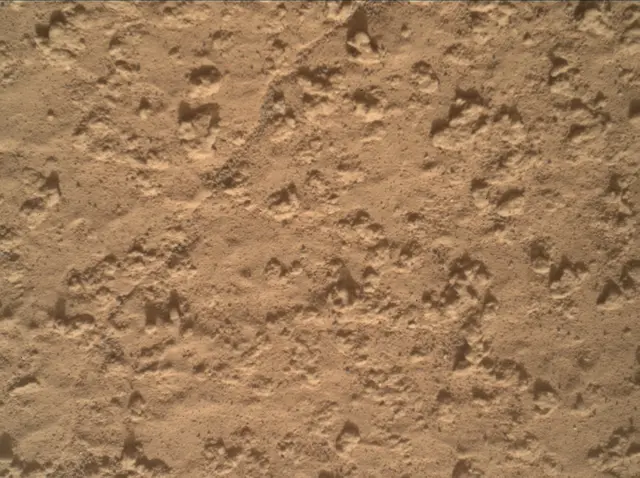 Sol 3575: Mars Hand Lens Imager (MAHLI)