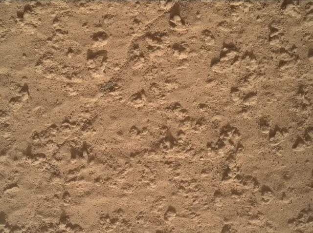 Sol 3575: Mars Hand Lens Imager (MAHLI)