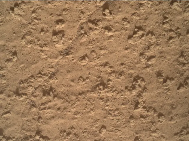 Sol 3575: Mars Hand Lens Imager (MAHLI)