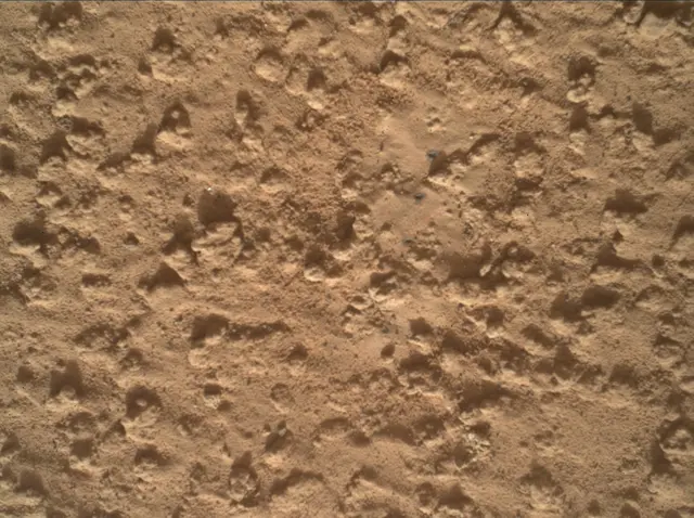 Sol 3575: Mars Hand Lens Imager (MAHLI)