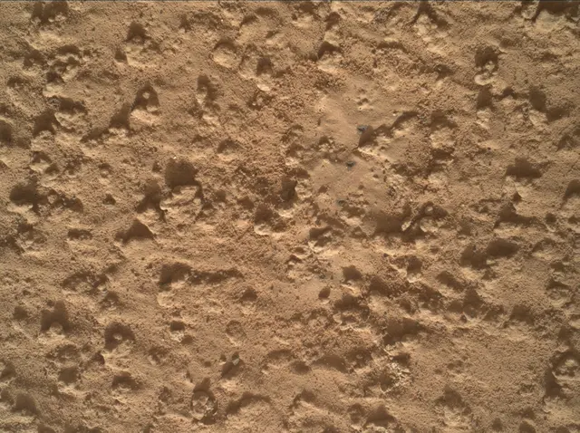 Sol 3575: Mars Hand Lens Imager (MAHLI)