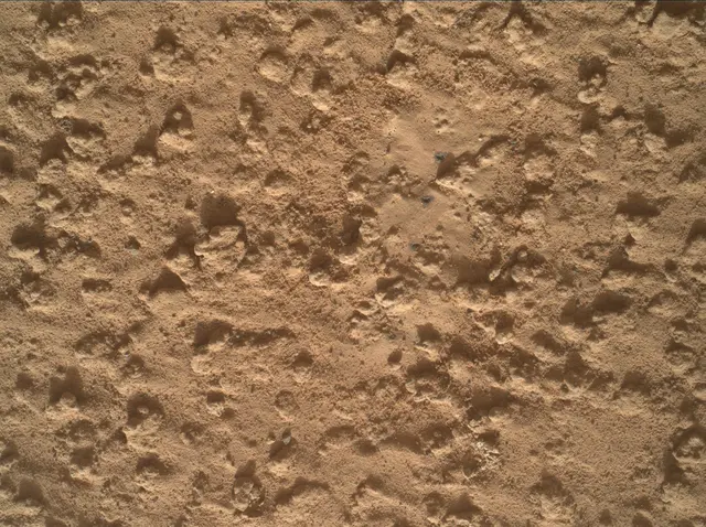 Sol 3575: Mars Hand Lens Imager (MAHLI)