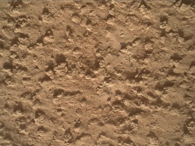 Sol 3575: Mars Hand Lens Imager (MAHLI)