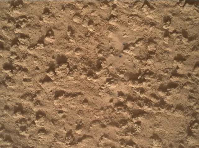 Sol 3575: Mars Hand Lens Imager (MAHLI)