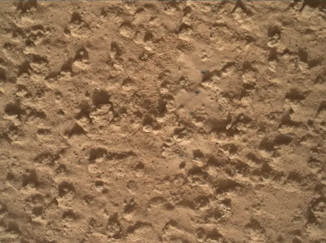 Sol 3575: Mars Hand Lens Imager (MAHLI)
