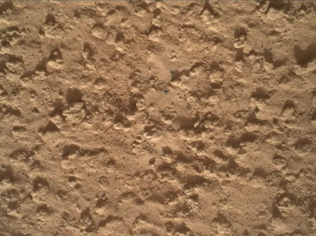 Sol 3575: Mars Hand Lens Imager (MAHLI)