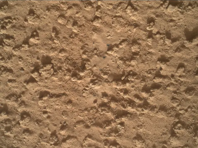 Sol 3575: Mars Hand Lens Imager (MAHLI)