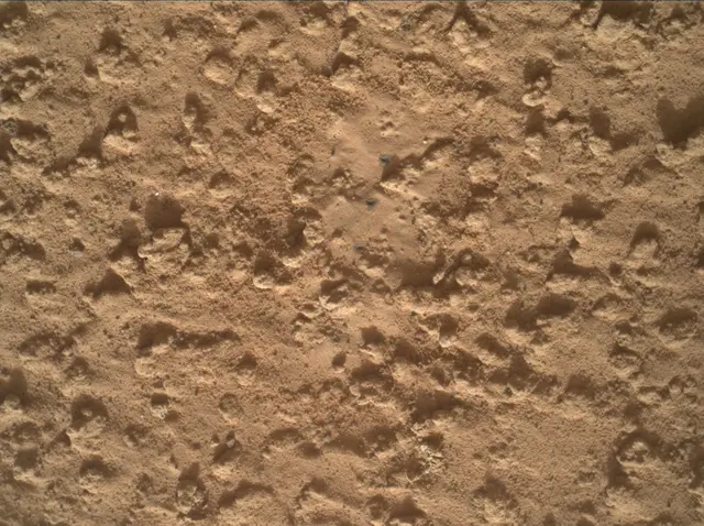 Sol 3575: Mars Hand Lens Imager (MAHLI)