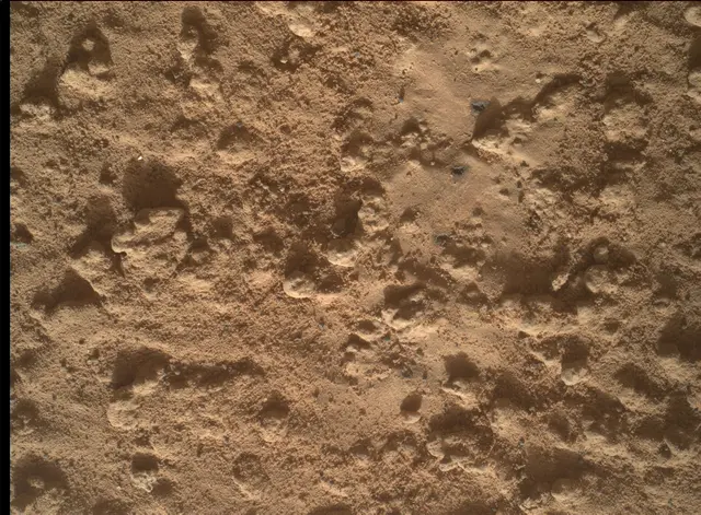 Sol 3575: Mars Hand Lens Imager (MAHLI)