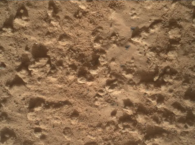 Sol 3575: Mars Hand Lens Imager (MAHLI)