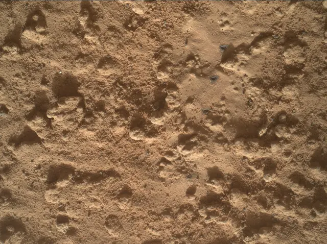 Sol 3575: Mars Hand Lens Imager (MAHLI)