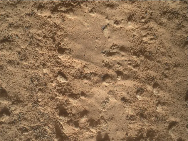 Sol 3578: Mars Hand Lens Imager (MAHLI)