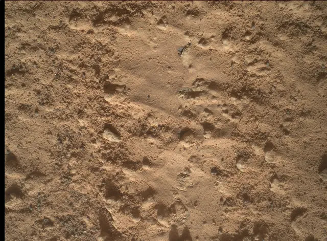 Sol 3578: Mars Hand Lens Imager (MAHLI)