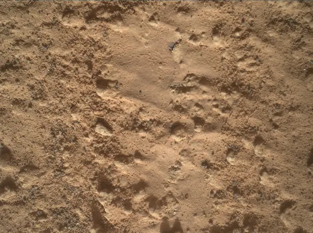 Sol 3578: Mars Hand Lens Imager (MAHLI)