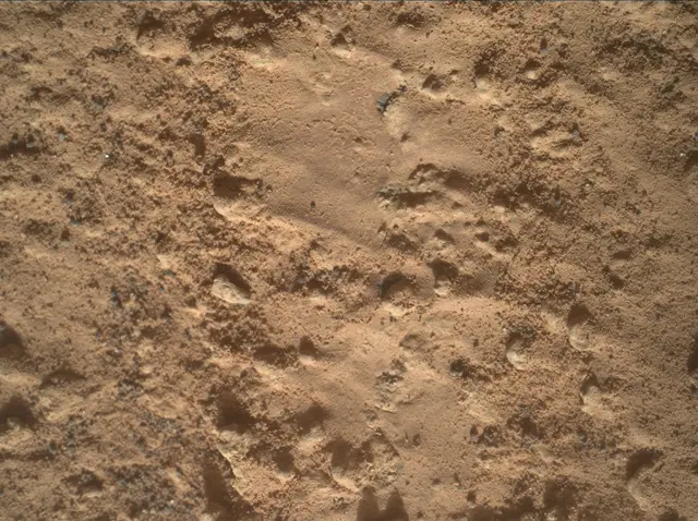 Sol 3578: Mars Hand Lens Imager (MAHLI)
