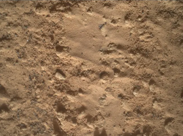 Sol 3578: Mars Hand Lens Imager (MAHLI)