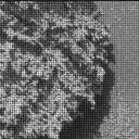 Sol 3589: Mast Camera (Mastcam)