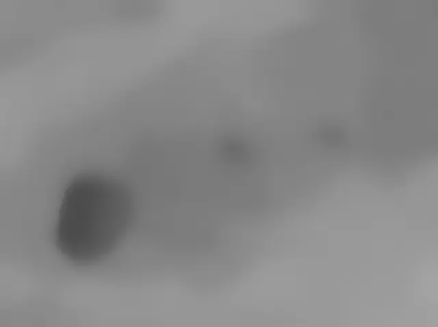 Sol 3601: Mars Hand Lens Imager (MAHLI)