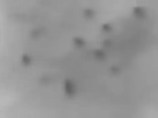 Sol 3603: Mars Hand Lens Imager (MAHLI)