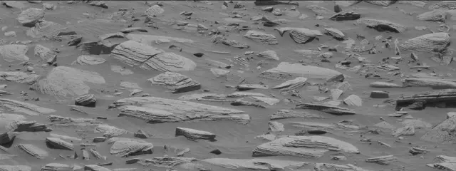 Sol 3605: Mast Camera (Mastcam)