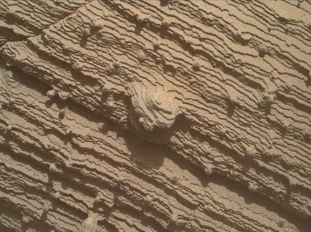 Sol 3605: Mars Hand Lens Imager (MAHLI)