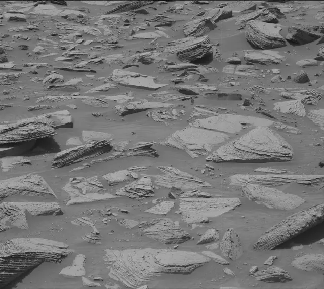 Sol 3609: Mast Camera (Mastcam)