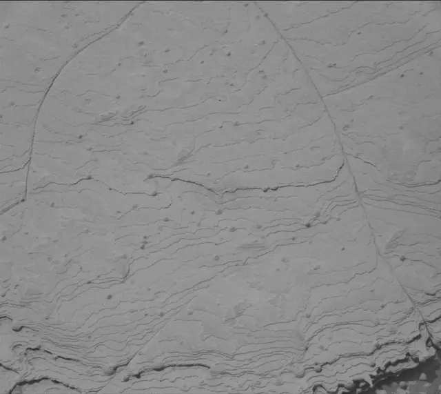 Sol 3609: Mast Camera (Mastcam)