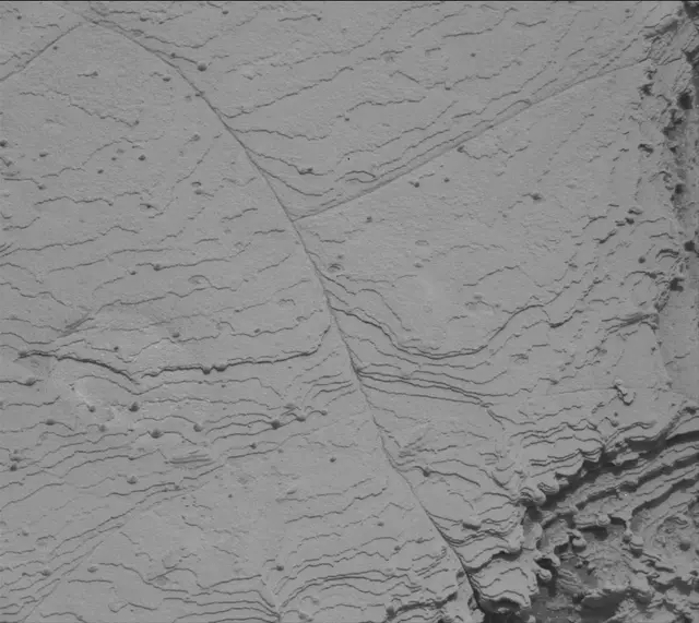 Sol 3610: Mast Camera (Mastcam)