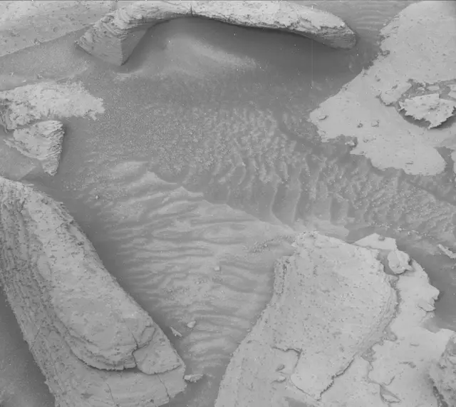Sol 3619: Mast Camera (Mastcam)