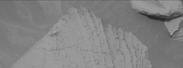 Sol 3626: Mast Camera (Mastcam)