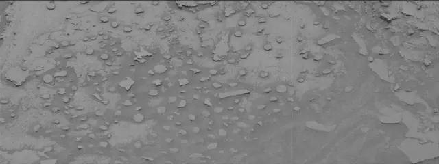 Sol 3628: Mast Camera (Mastcam)