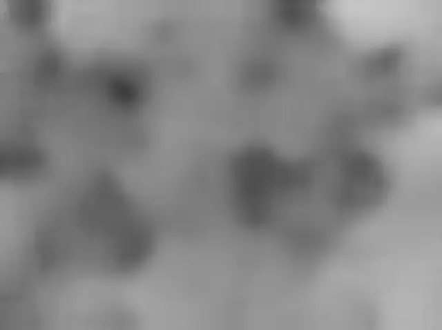 Sol 3633: Mars Hand Lens Imager (MAHLI)