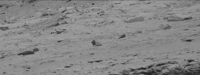 Sol 3641: Mast Camera (Mastcam)